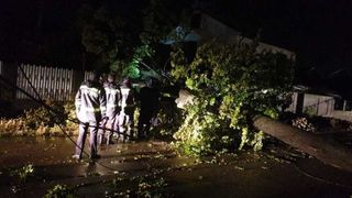 Furtună puternică în Galaţi – 50 de maşini au fost avariate şi 100 de copaci au fost doborâţi de vânt