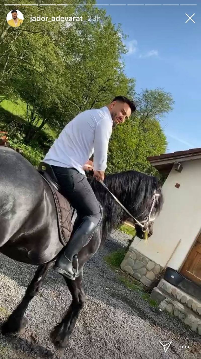 jador de la puterea dragostei cal