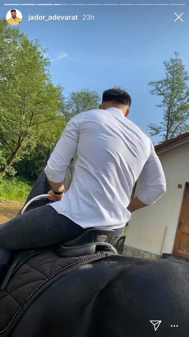 jador de la puterea dragostei cal