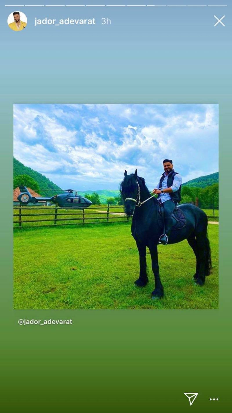 jador de la puterea dragostei cal