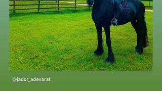 jador de la puterea dragostei cal