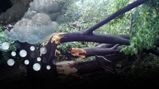 VIDEO| Furtuna de cod roșu, ca un uragan