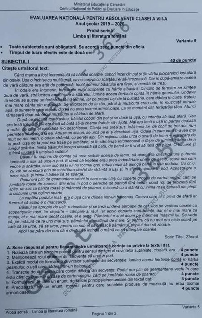 Subiecte Română 2020 Evaluare Naţională. Ce a picat la examen?