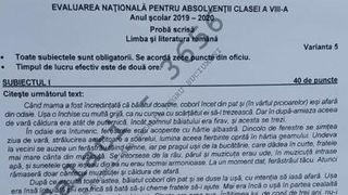 Subiecte Română 2020 Evaluare Naţională. Ce a picat la examen?