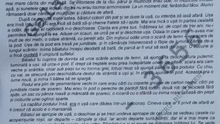 Subiecte Rom&acirc;nă Evaluare Naţională 2020: Zborul de Sorin Titel şi genul epic