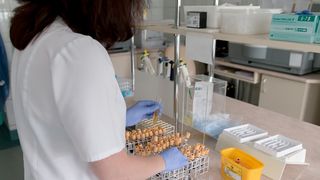 Buzău: 39 de cadre medicale infectate până acum cu noul coronavirus