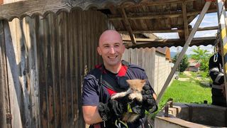 Un pui de pisică a căzut &icirc;ntr-o f&acirc;nt&acirc;nă ad&acirc;ncă de 25 de metri, fiind salvat de pompierii din Braşov - VIDEO