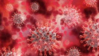 italia noi decese coronavirus