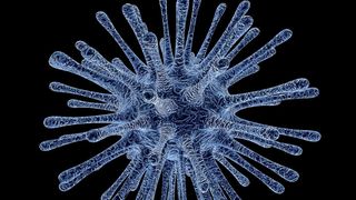 italia noi decese coronavirus