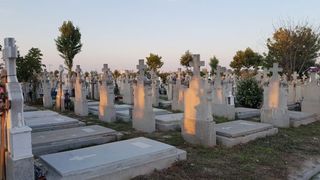 mesaj emoționant carmen tănase