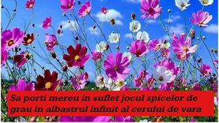 Mesaje de vara - Mesaje frumoase de vara - Mesaje de vara pentru prieteni - Statusuri de vara