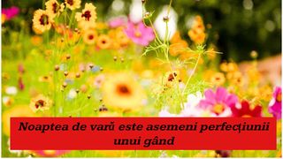 Mesaje de vară. Cele mai frumoase statusuri pentru prieteni