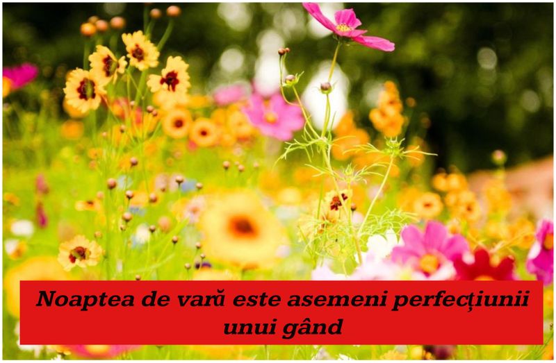 Mesaje de vara - Mesaje frumoase de vara - Mesaje de vara pentru prieteni - Statusuri de vara