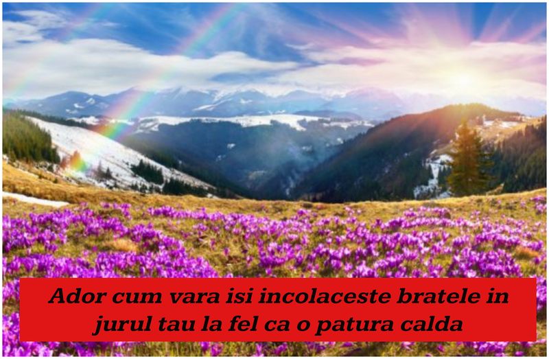 Mesaje de vara - Mesaje frumoase de vara - Mesaje de vara pentru prieteni - Statusuri de vara