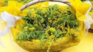 Naşterea Sf. Ioan Botezătorul 2020: S&acirc;nzienele  sau Drăgaica