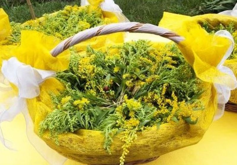 Naşterea Sf. Ioan Botezătorul 2020: Sânzienele  sau Drăgaica