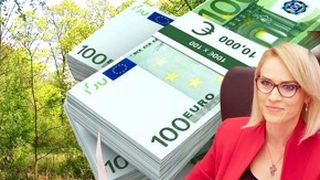 Gabriela Firea și-a vândut pădurea din Voluntari! Vezi câți bani a obținut primarul Bucureștiului din tranzacția imobiliară!