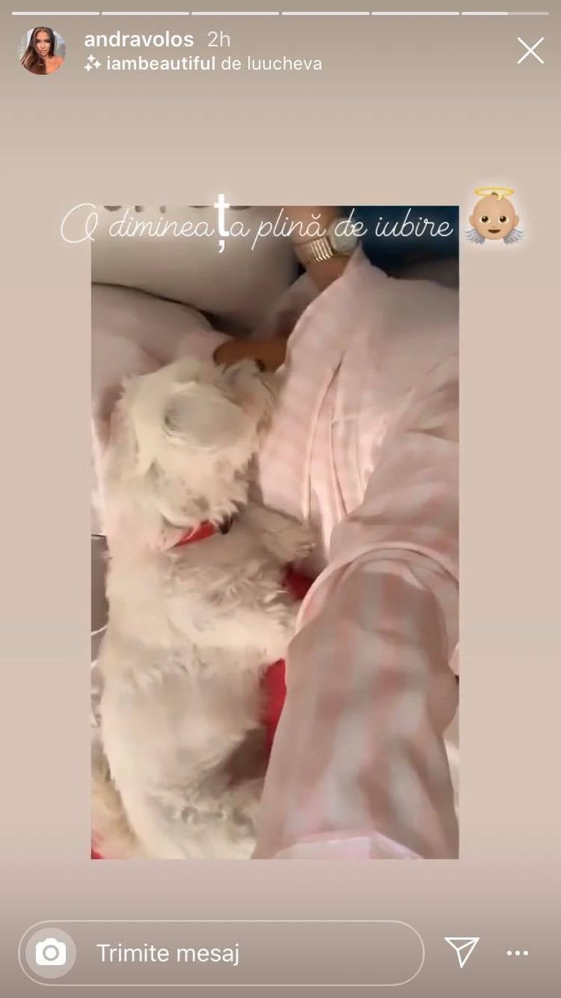 andra volos a părăsit țara