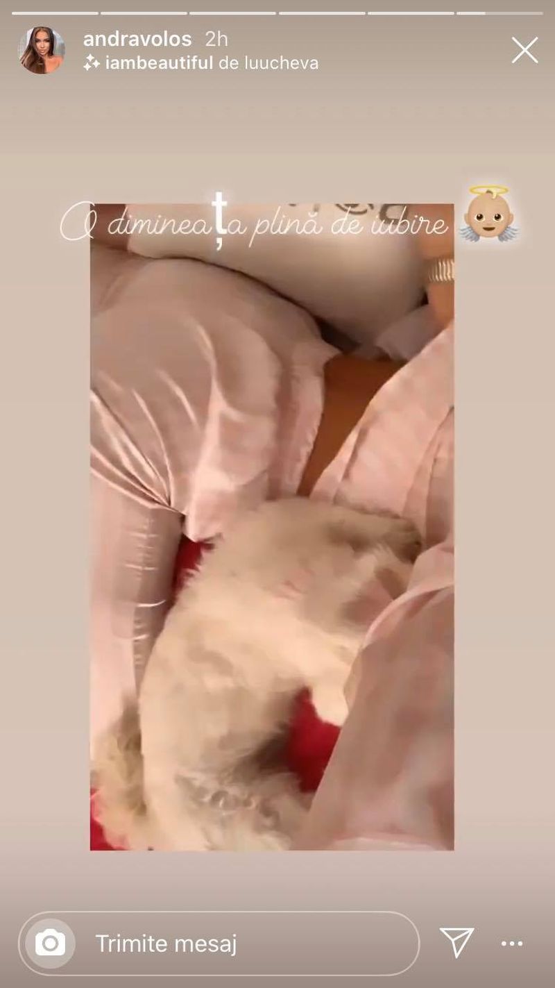 andra volos a părăsit țara