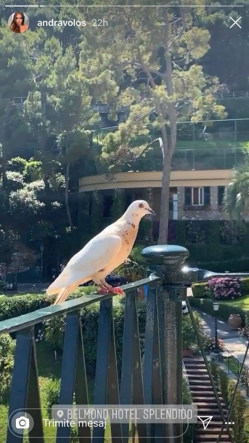 andra-volos-vacanta-de-lux