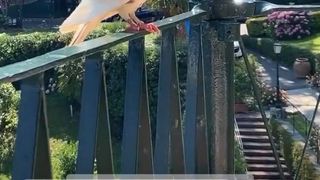 andra-volos-vacanta-de-lux