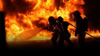 VIDEO| O cabană renumită &icirc;n Timiș s-a făcut scrum