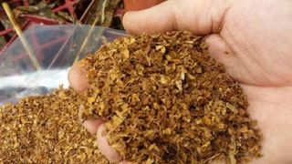 Captură impresionantă făcută de Poliția Română