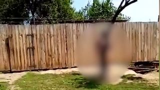 ținut cu lanțuri de copac