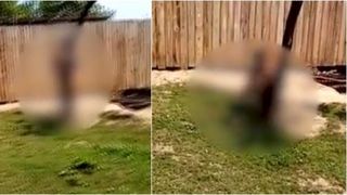 Caz șocant în Vaslui. O mamă și-a legat copilul dezbrăcat cu lanțuri de copac