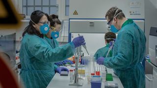 imunitate coronavirus