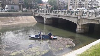 Firea: &bdquo;Aloo, Ministerul Mediului!? Domnu&rsquo; Alexe!! Lăsaţi distracţia, campania electorală&rdquo;