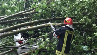 Furtuna a făcut pagube în Tulcea. Mai multe mașini avariate, după ce şapte copaci au fost doborâţi de vânt 