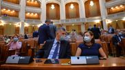 Dublarea alocațiilor.