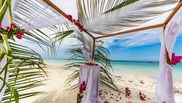 Un decor de vis, ce poate fi ales pentru evenimentele pe plaja.