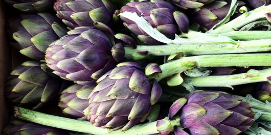 Anghinarea: proprietăți și beneficii pentru un stil de viață echilibrat! 