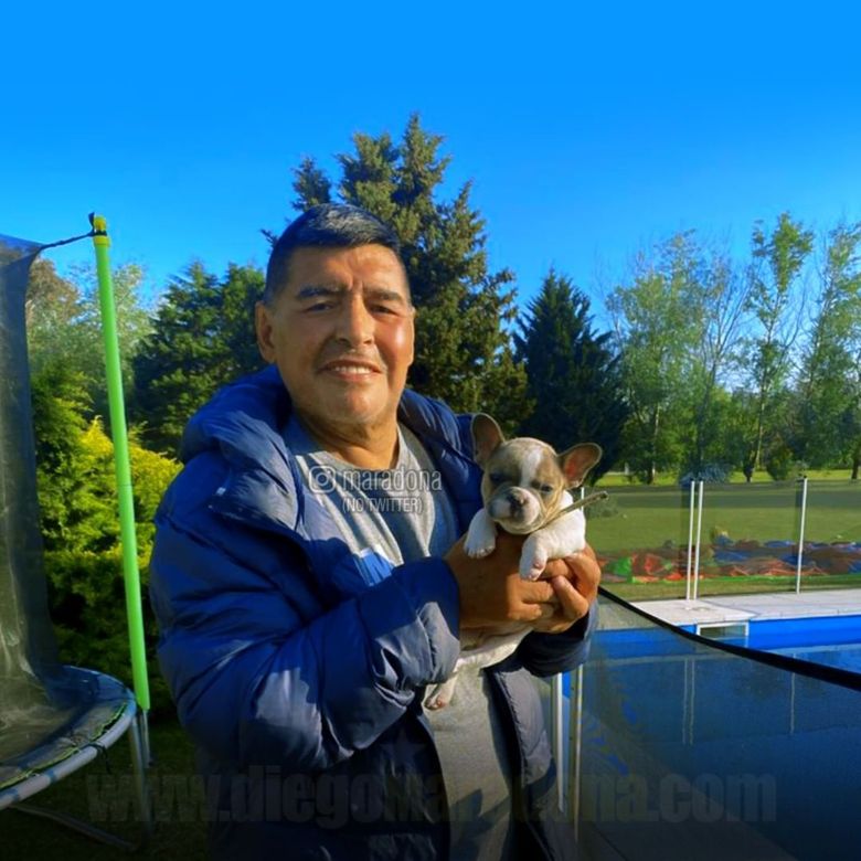 diego maradona cauza deces