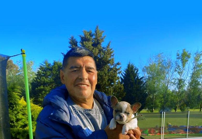 Diego Armando Maradona a lăsat în urma lui lacrimi de tristețe diego maradona cauza deces