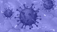 vaccin sputnik  v contraindicatii