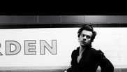 harry styles relatie olivia wilde 