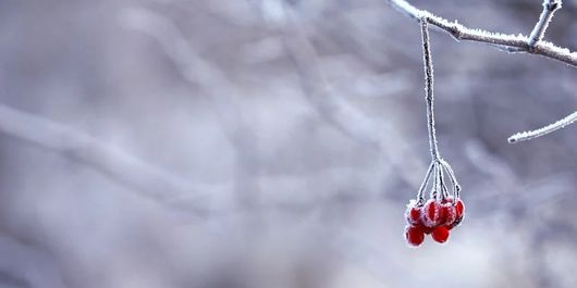 Avertizare NINSORI puternice! Cum va fi vremea în săptămâna 11-15 ianuarie 2021