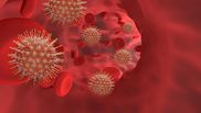 vaccin fara programare