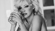 pamela anderson nunta