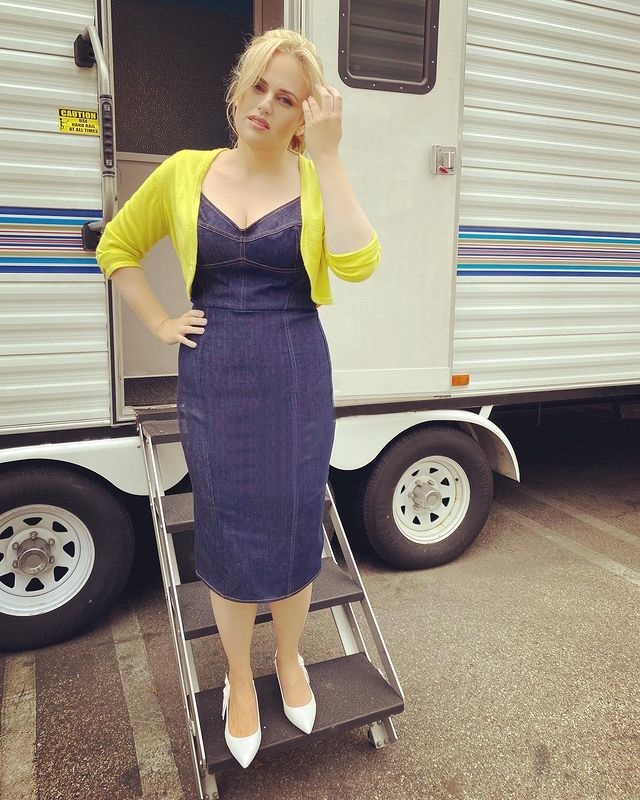 Rebel Wilson s-a despărțit