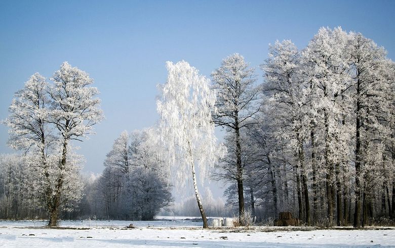 specialiștii ANM anunță temperaturi scăzute și ninsori avertizare meteo ninsori