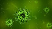 vaccin covid 19 raed arafat declaratii