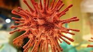 vaccin anti covid razvan chereches 