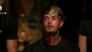 zanni favorit survivor romania