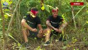 Culiţă Sterp şi Zanni, la Survivor România