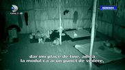 maria chitu relatie albert oprea