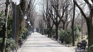 covid 19 bucuresti restrictii